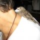 Cochi: Passero libero che visse otto mesi in casa con la sua Amica Virginia..